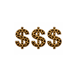 CHEETAHBANDZ
